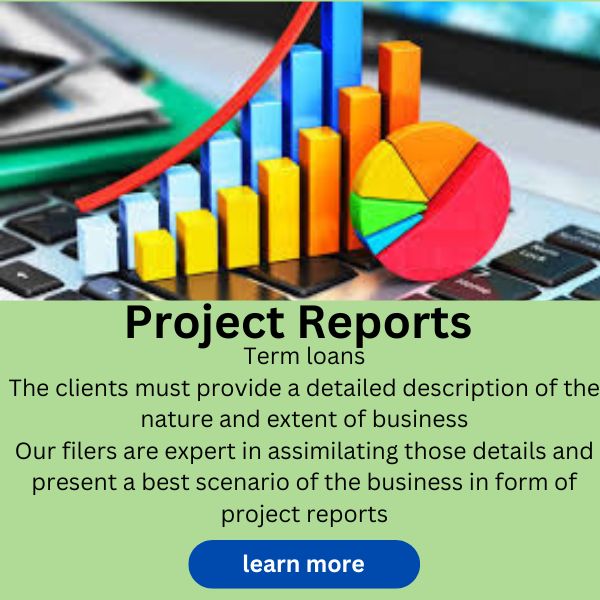 Project Reports