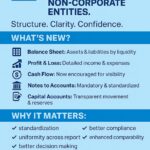 A Fresh Look at the New Financial Statement Format for Non-Corporate Entities (And How It Compares to the Old Way of Doing Things)